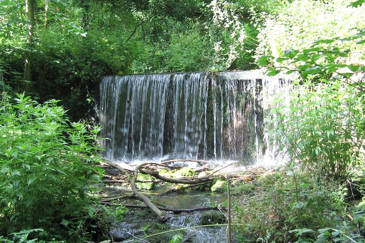 Environmental Responsibility